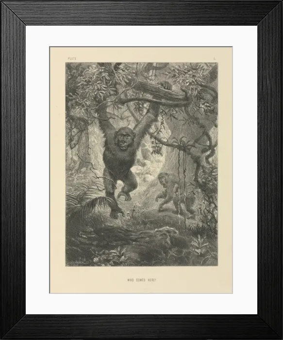Framed Print : Who Comes Here? Framed Print : Who Comes Here?