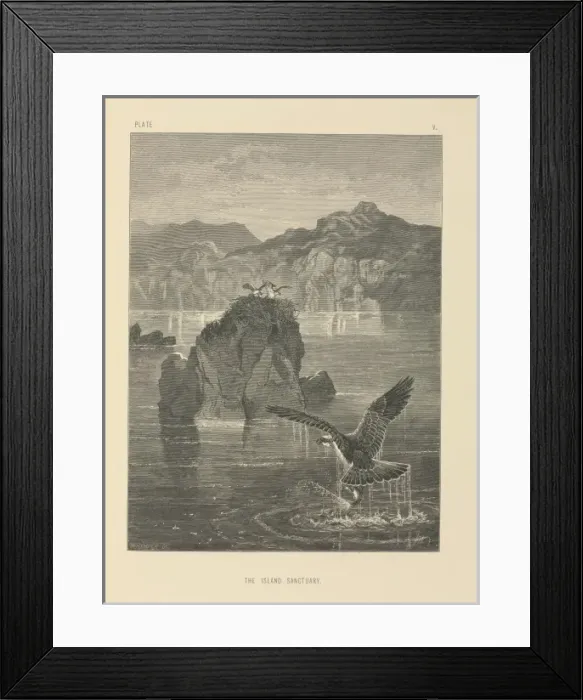 Framed Print : The Island Sanctuary Framed Print : The Island Sanctuary