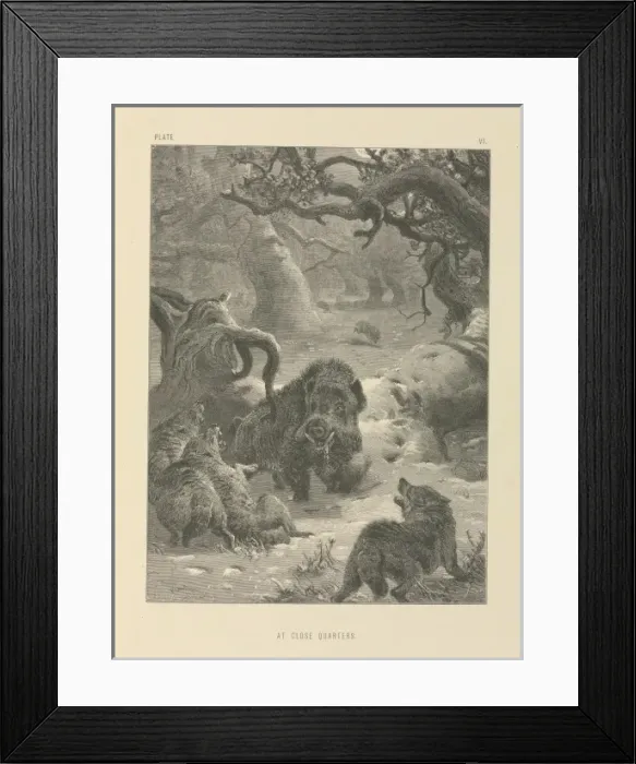 Framed Print : At Close Quarters Framed Print : At Close Quarters
