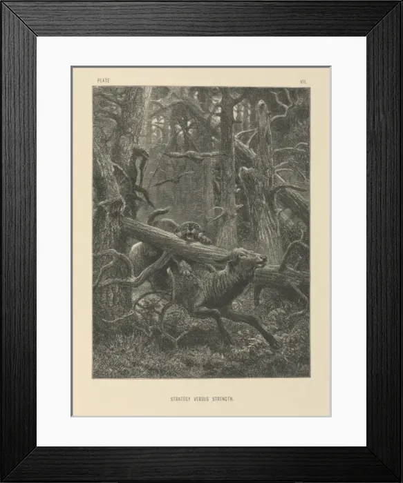 Framed Print : Strategy Versus Strength Framed Print : Strategy Versus Strength