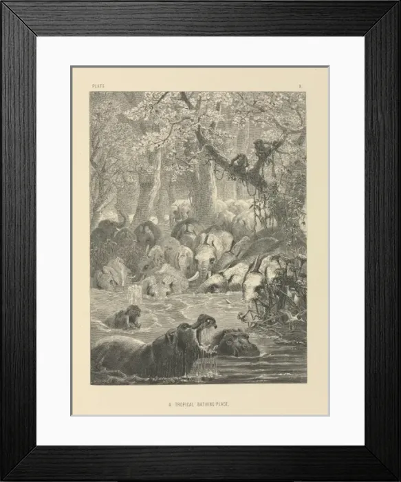 Framed Print : A Tropical Bathing-Place Framed Print : A Tropical Bathing-Place