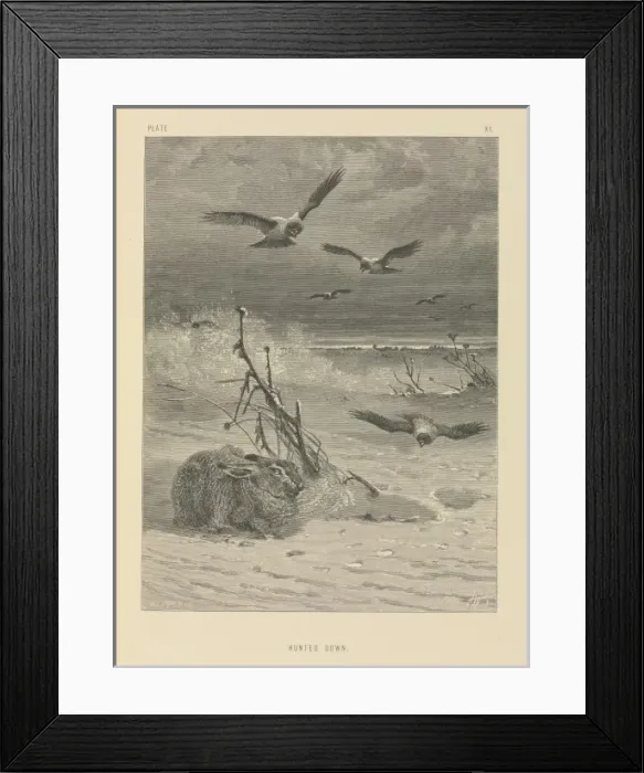 Framed Print : Hunted Down Framed Print : Hunted Down