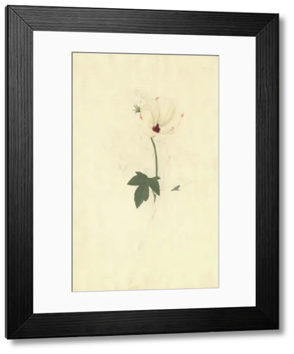 Framed Print : An unattributed fine portrait silhouette by Leon Framed Print : An unattributed fine portrait silhouette by Leon