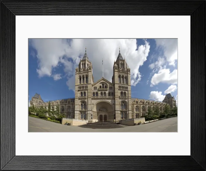 Framed Print : The Natural History Museum Framed Print : The Natural History Museum