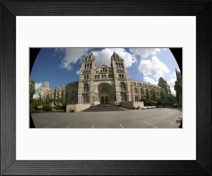 Framed Print : The Natural History Museum Framed Print : The Natural History Museum
