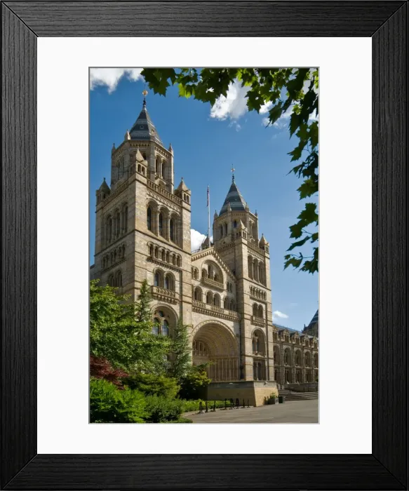 Framed Print : The Natural History Museum Framed Print : The Natural History Museum