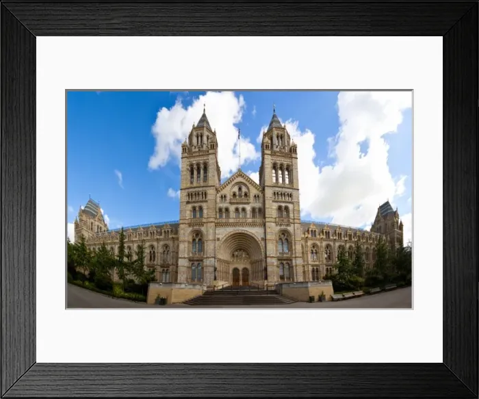 Framed Print : The Natural History Museum Framed Print : The Natural History Museum