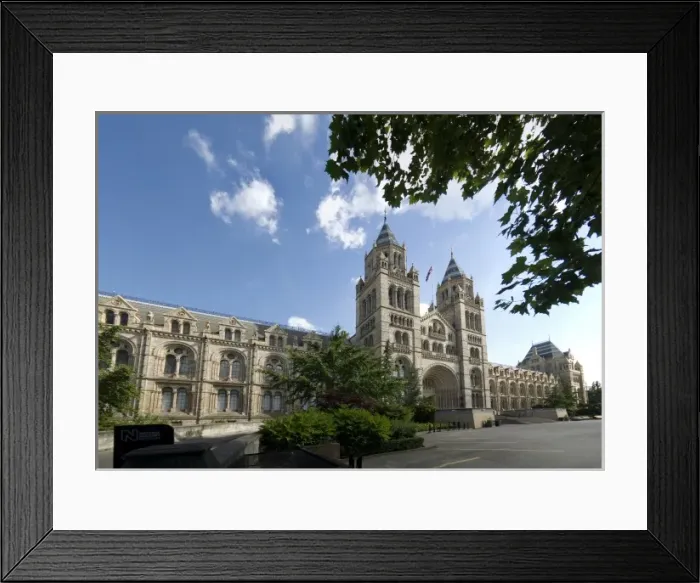 Framed Print : The Natural History Museum Framed Print : The Natural History Museum