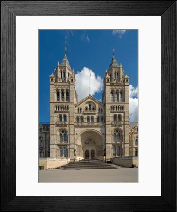 Framed Print : The Natural History Museum Framed Print : The Natural History Museum
