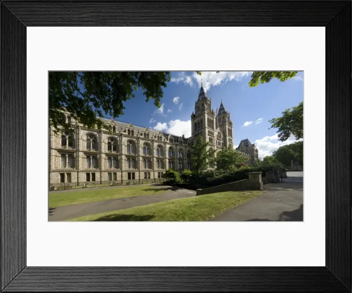 Framed Print : The Natural History Museum Framed Print : The Natural History Museum