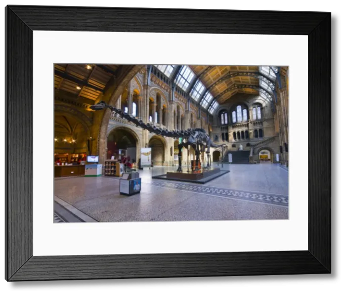 Framed Print : The Central Hall of the Natural History Museum, London Framed Print : The Central Hall of the Natural History Museum, London