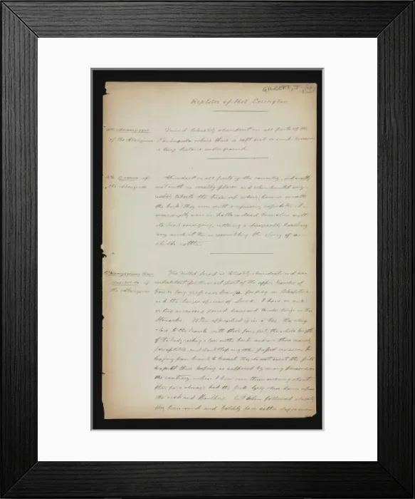 Framed Print : Reptiles of Port Essington Framed Print : Reptiles of Port Essington