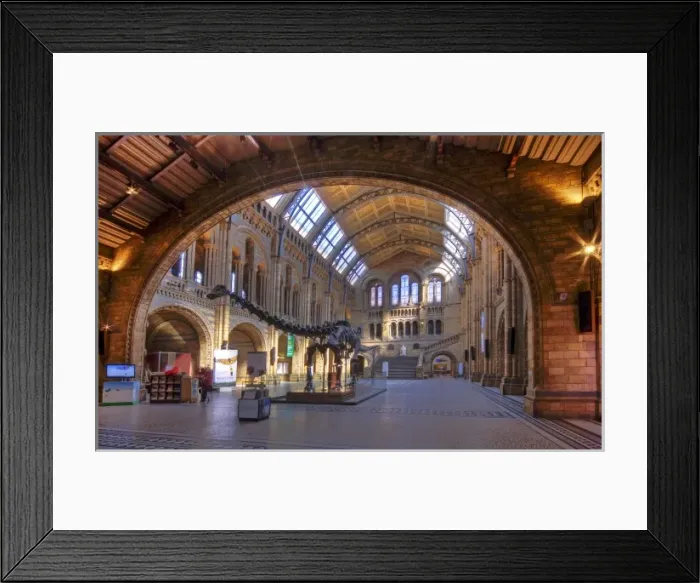 Framed Print : The Central Hall of the Natural History Museum, London Framed Print : The Central Hall of the Natural History Museum, London