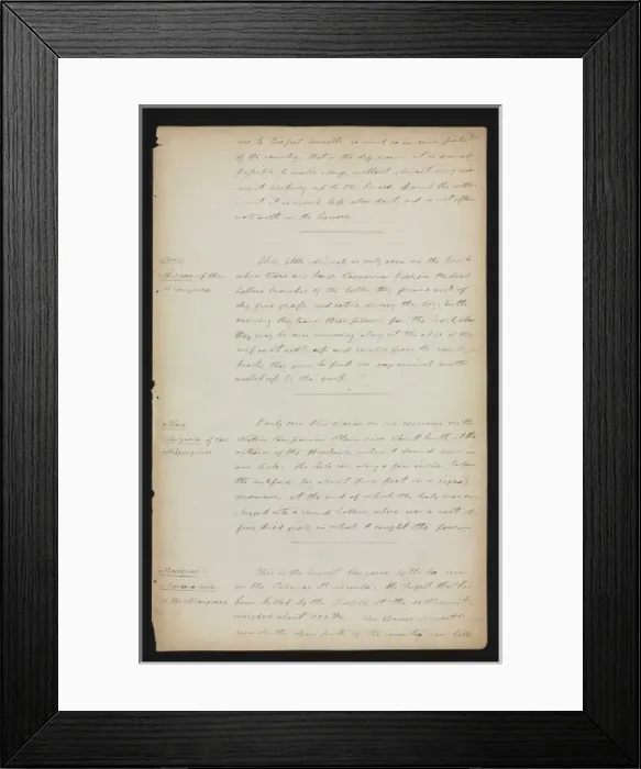 Framed Print : Quadrupeds of Port Essington Framed Print : Quadrupeds of Port Essington