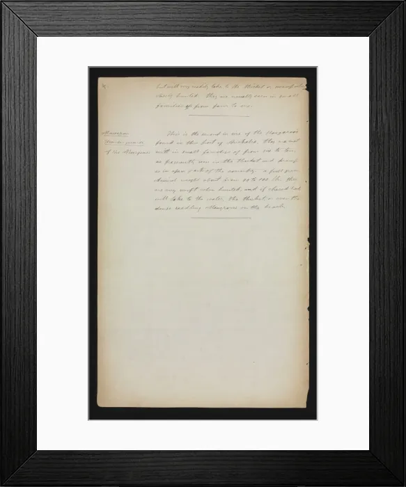 Framed Print : Quadrupeds of Port Essington Framed Print : Quadrupeds of Port Essington