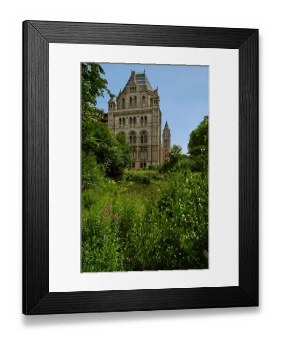Framed Print : The Natural History Museum Wildlife Garden