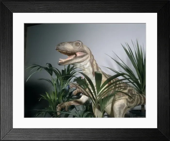 Framed Print : Deinonychus Framed Print : Deinonychus