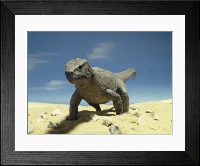 Framed Print : Euparkeria Framed Print : Euparkeria