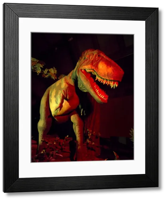 Framed Print : Tyrannosaurus rex Framed Print : Tyrannosaurus rex