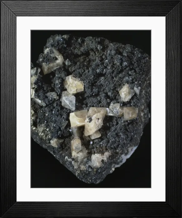 Framed Print : Scheelite. Crystals of scheelite (calcium tungstate), an important ore of tungsten Framed Print : Scheelite. Crystals of scheelite (calcium tungstate), an important ore of tungsten