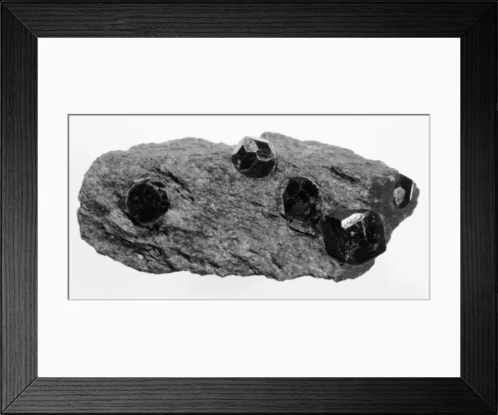 Framed Print : Garnetiferous schist Framed Print : Garnetiferous schist