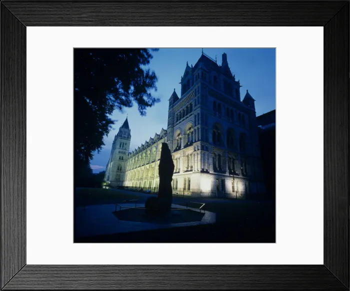 Framed Print : The Natural History Museum, London Framed Print : The Natural History Museum, London