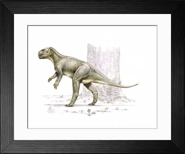 Framed Print : Psittacosaurus Framed Print : Psittacosaurus