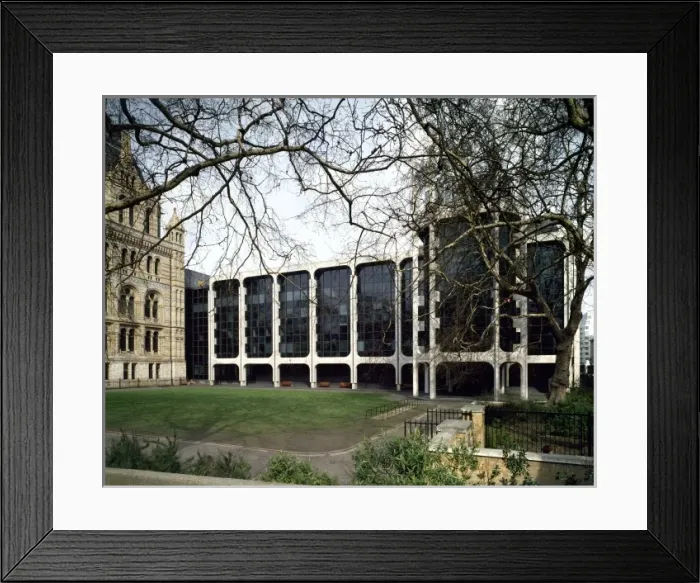 Framed Print : Palaeontology Wing of The Natural History Museum Framed Print : Palaeontology Wing of The Natural History Museum