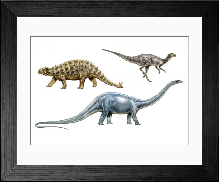 Framed Print : Diplodocus, Euoplocephalus & Hypsilophodon Framed Print : Diplodocus, Euoplocephalus & Hypsilophodon