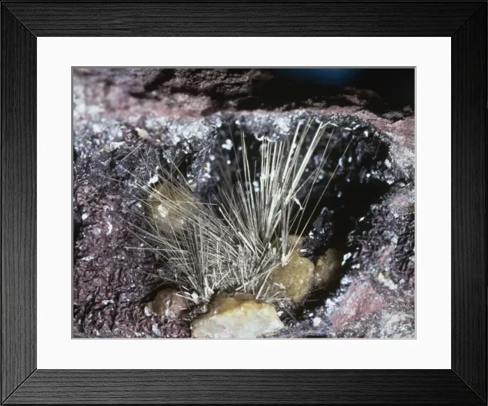 Framed Print : Millerite comprises of (nickel sulphide) and is characterized by hair-like Framed Print : Millerite comprises of (nickel sulphide) and is characterized by hair-like