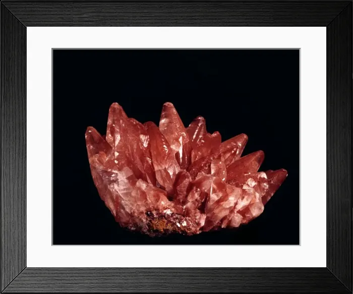 Framed Print : Calcite. Pink crystals of calcite from Cumberland Framed Print : Calcite. Pink crystals of calcite from Cumberland