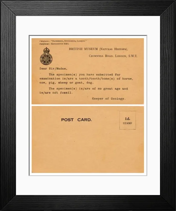 Framed Print : Palaeontology Response Card Framed Print : Palaeontology Response Card