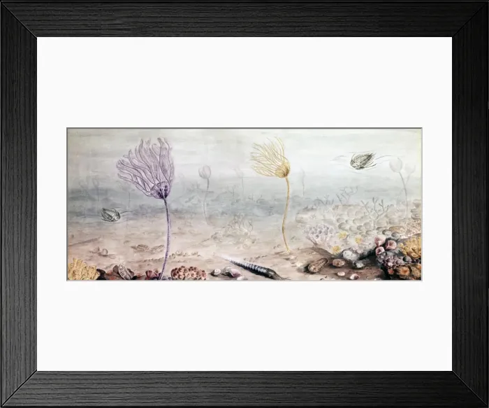 Framed Print : Silurian Wenlock sea Framed Print : Silurian Wenlock sea