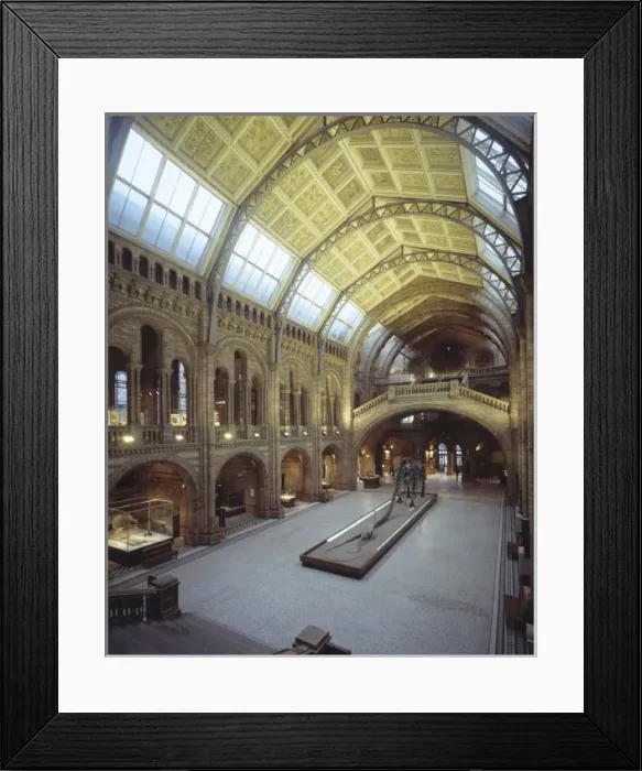 Framed Print : The Central Hall of The Natural History Museum, London Framed Print : The Central Hall of The Natural History Museum, London