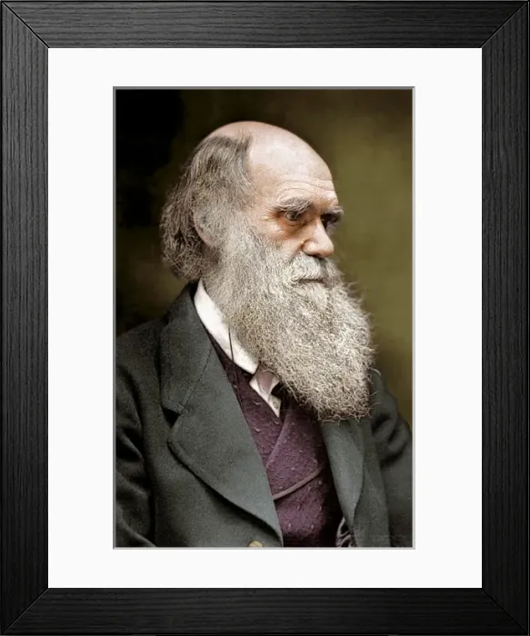Framed Print : Charles Robert Darwin (1809-1882) Framed Print : Charles Robert Darwin (1809-1882)
