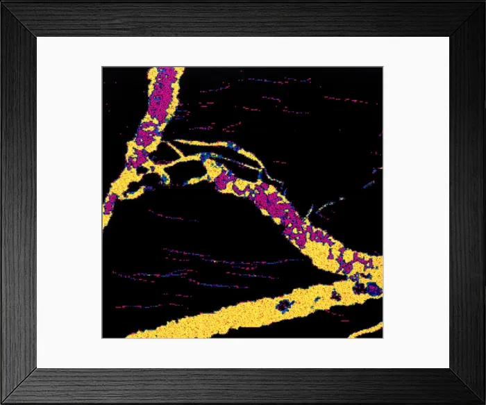Framed Print : Silver. Scanning electron microscope image of an elemental map showing Framed Print : Silver. Scanning electron microscope image of an elemental map showing