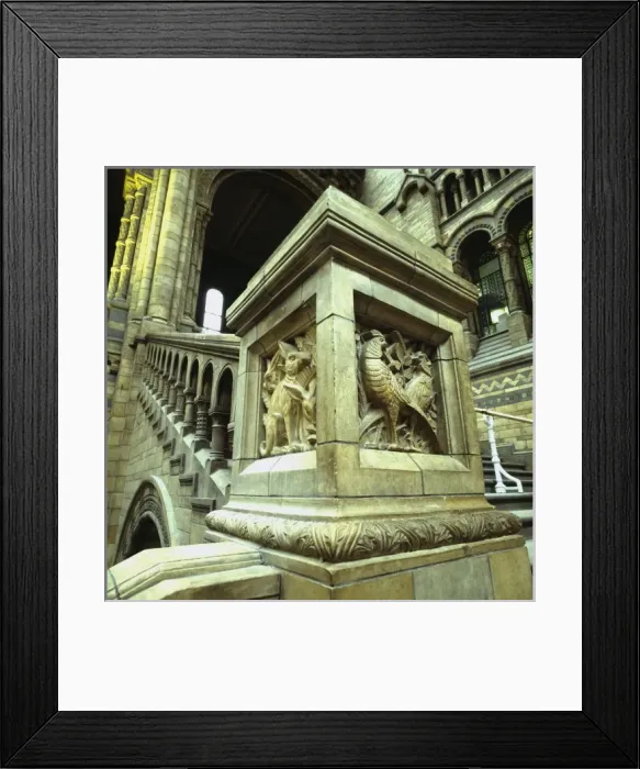 Framed Print : Detail view of the Central Hall at the Natural History Museu Framed Print : Detail view of the Central Hall at the Natural History Museu