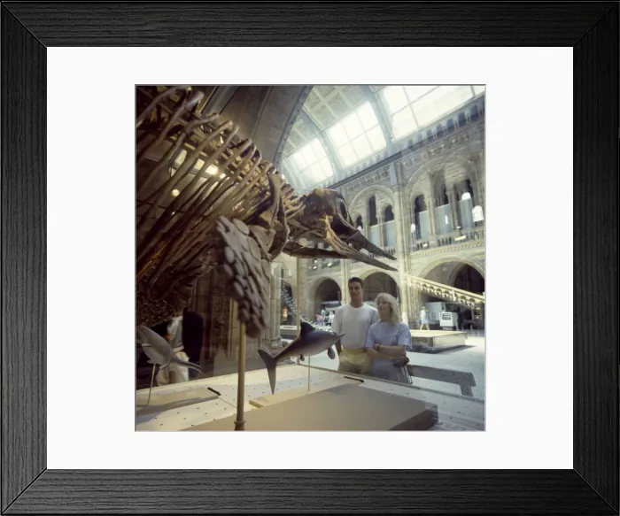 Framed Print : Visitors viewing an Opthalmosaurus Framed Print : Visitors viewing an Opthalmosaurus