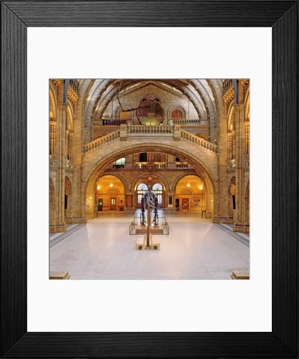 Framed Print : The Central Hall of The Natural History Museum, London Framed Print : The Central Hall of The Natural History Museum, London