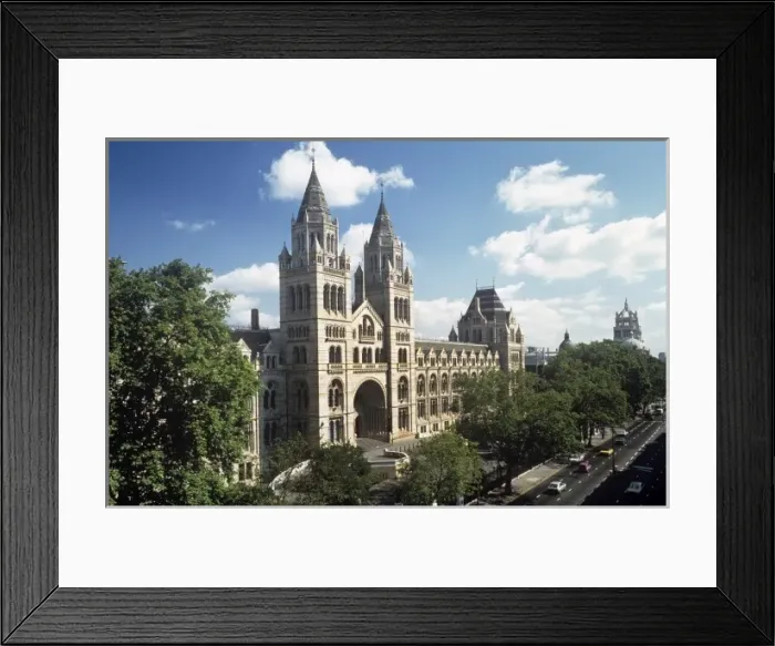 Framed Print : The Natural History Museum, London Framed Print : The Natural History Museum, London