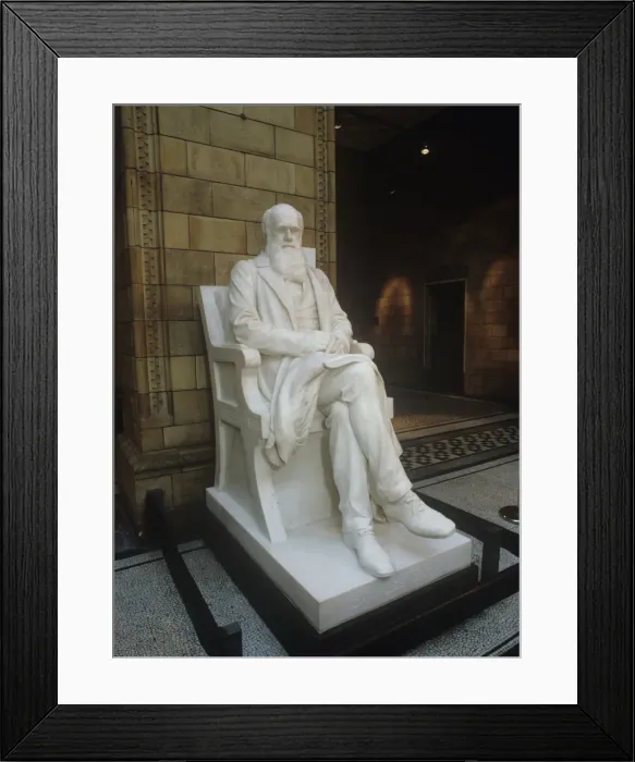 Framed Print : Charles Robert Darwin (1809-1882) Framed Print : Charles Robert Darwin (1809-1882)