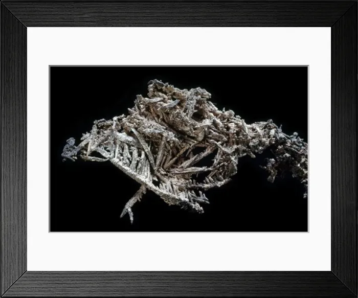Framed Print : Silver found in pure form in the ground is called native silver (Ag) Framed Print : Silver found in pure form in the ground is called native silver (Ag)