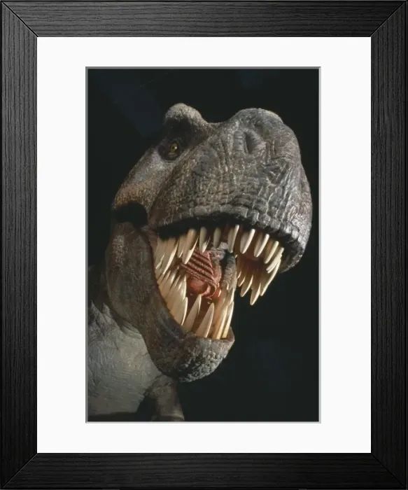 Framed Print : Tyrannosaurus rex Framed Print : Tyrannosaurus rex