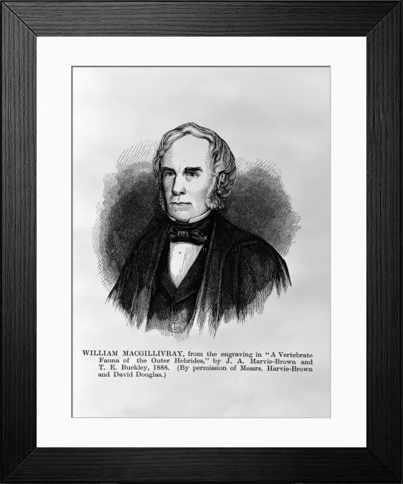 Framed Print : William MacGillivray (1796-1851) Framed Print : William MacGillivray (1796-1851)