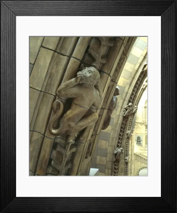 Framed Print : Detail of terracotta moulding of a monkey Framed Print : Detail of terracotta moulding of a monkey