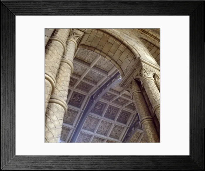 Framed Print : Detail view of the Central Hall ceiling at the Natural Histo Framed Print : Detail view of the Central Hall ceiling at the Natural Histo