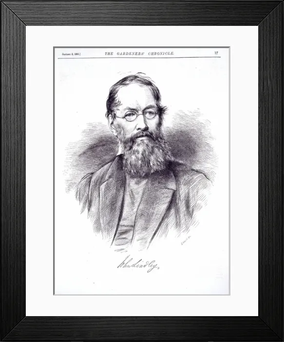 Framed Print : John Lindley (1799-1865)