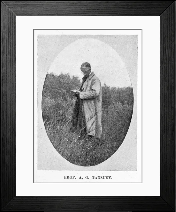 Framed Print : Professor Sir Arthur Tansley (1871-1955) Framed Print : Professor Sir Arthur Tansley (1871-1955)