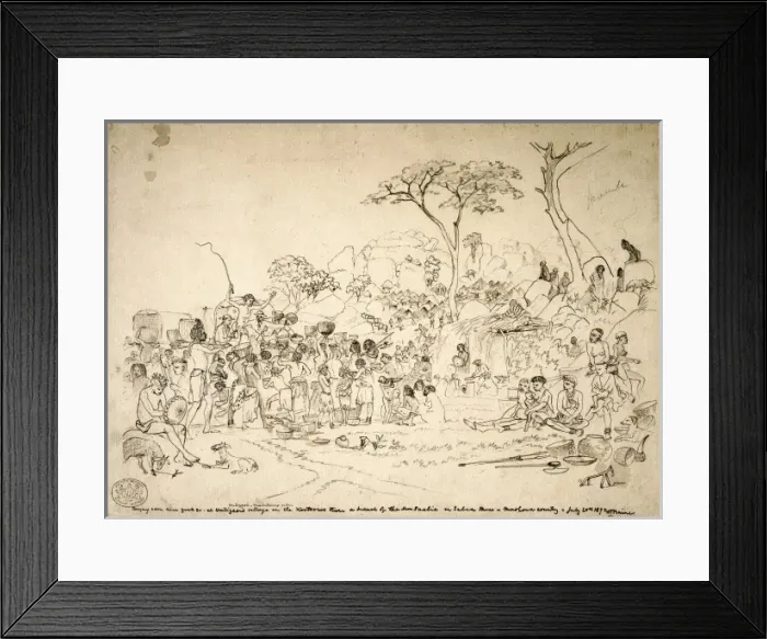 Framed Print : Umtigesi maintaining order Framed Print : Umtigesi maintaining order