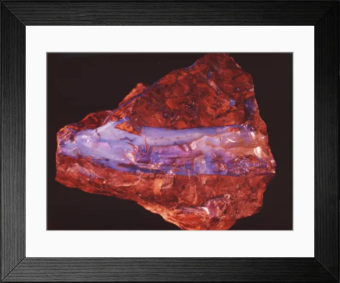 Framed Print : Opal Framed Print : Opal